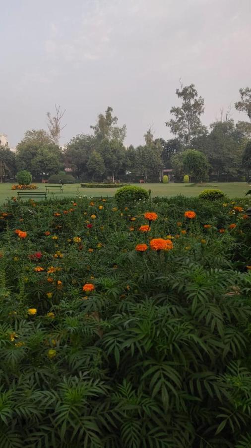 Maplewood Guest House, Neeti Bagh, New Delhiit Is A Boutiqu - 5 2* New Delhi