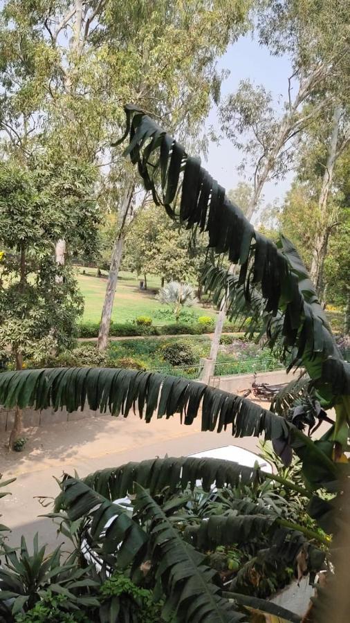 Maplewood Guest House, Neeti Bagh, New Delhiit Is A Boutiqu - 5 2*
